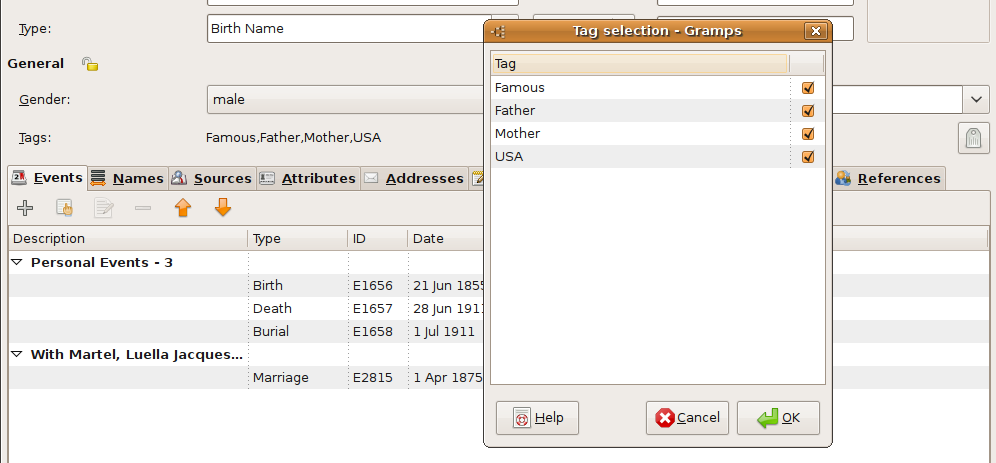 Fig. 6.8 Tag selection in the Person Editor